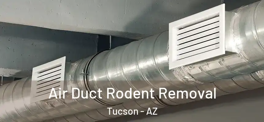 Air Duct Rodent Removal Tucson - AZ
