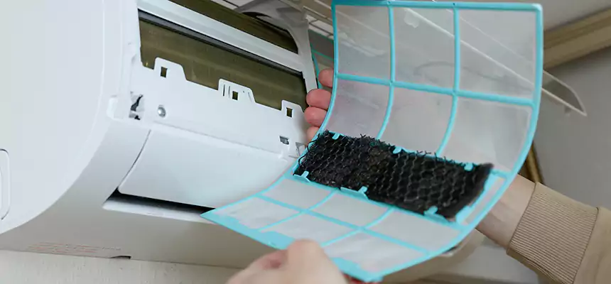 Gentle Ductwork Odor-Control Pet Dander Duct Cleaning in Tucson, AZ