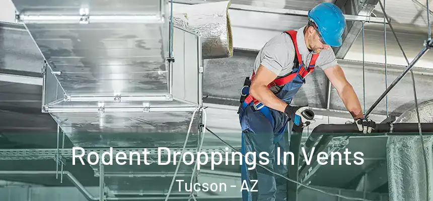 Rodent Droppings In Vents Tucson - AZ