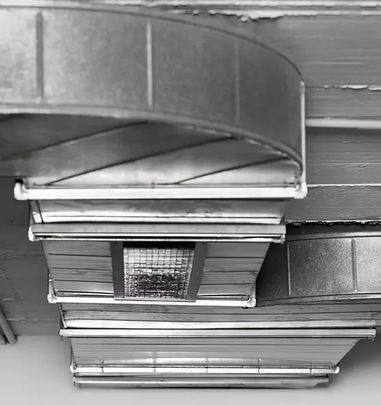 Professional Air Duct Pet Hair Removal in Tucson, AZ