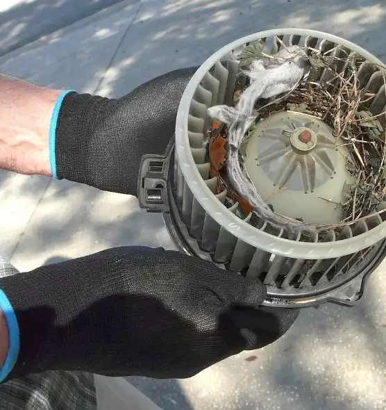 About Air Duct Rat Removal in Tucson, AZ