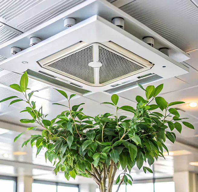 Why Homeowners & Businesses Trust Us in Tucson, AZ?